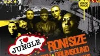 I Love Jungle Limited 005 With Roni Size !