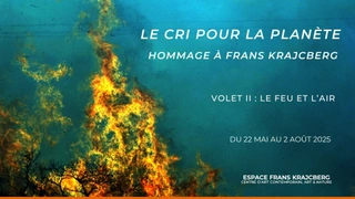 Le cri pour la planète, hommage à Frans Krajcberg, Volet II : Le feu et l'air
