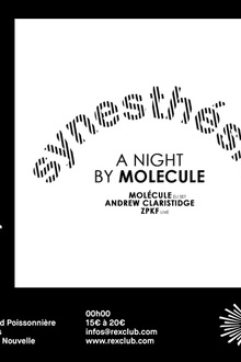 Synesthesie: A Night by Molecule with Andrew Claristidge & ZPKF