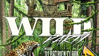 Wild Party @Balajo Bastille - Dirty beats Paris