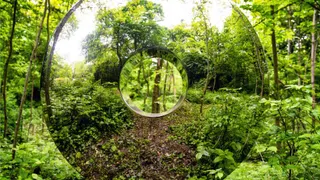 ELEMENTS : une exposition du Collectif Artist Convection