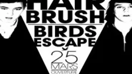 Hair Brush + Birds Escape