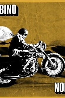 Bombino