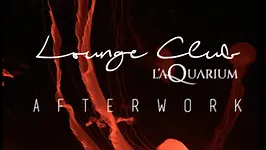 AFTERWORK @ LOUNGE CLUB DE L'AQUARIUM