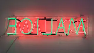 Exposition Bruce Nauman