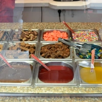 Yogurt Factory