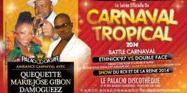 Soirée Officielle Du Carnaval Tropical 2014