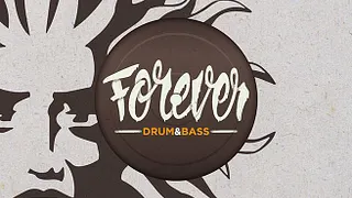 Forever DNB : 25 Years of V Recordings