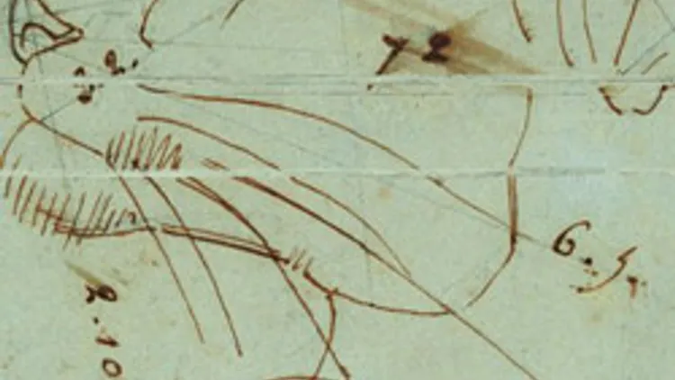 Le Michel-Ange de la ménagerie - les dessins d’Antoine-Louis Barye