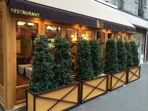 Le Pario Restaurant Paris