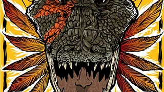 Festival Nuits de l'Alligator - Adam Green + miraculous mule + william adamson