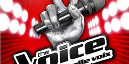 The Voice Tour 2013