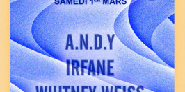 Nouveau Disco: A.N.D.Y, Irfane, Whitney Weiss