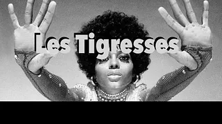 Les Tigresses
