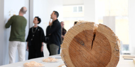 Wood Insights - journée de rencontres dédiée au bois
