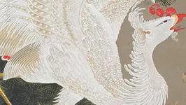 Jakuchū (1716-1800) Le Royaume coloré des êtres vivants