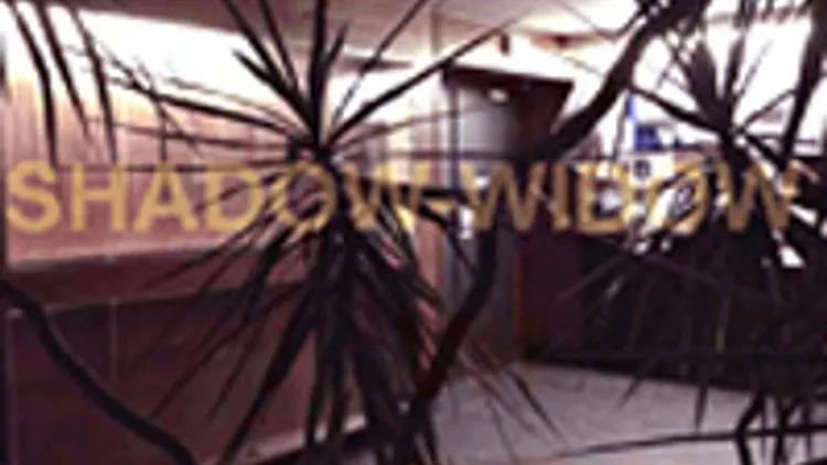Expo Shadow-Widow Avec Camille Cros Et Anthea Lubat