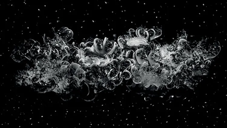 Poussières silencieuses // Sandrine Elberg