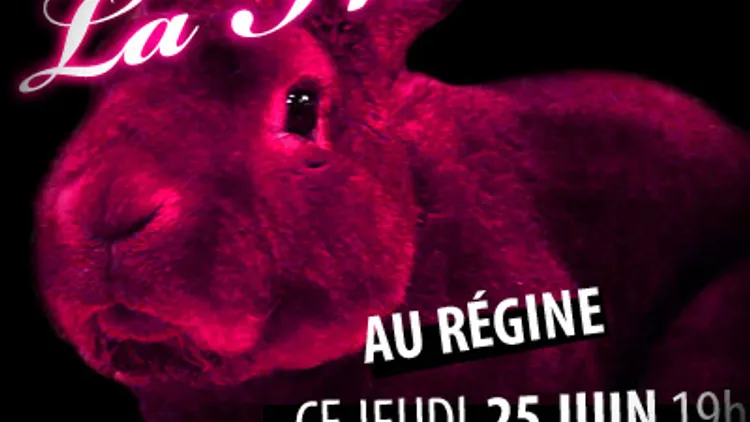 MISTY RABBIT @ LA FRENCH BUNNY au Régine