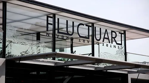 Fluctuart Galerie d'art Paris