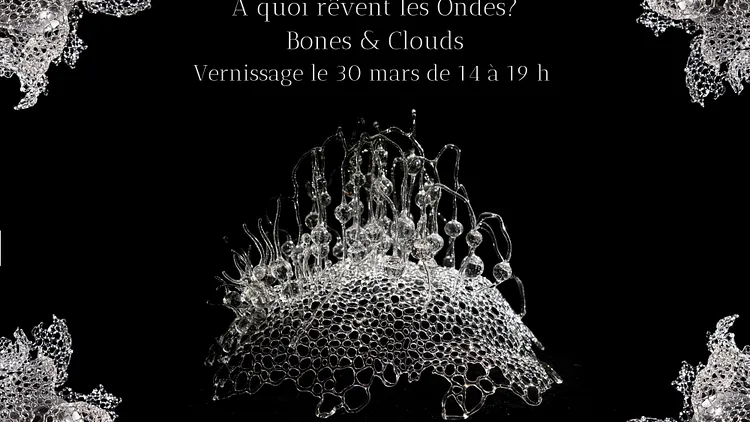 À quoi rêvent les ondes? Bones & Clouds