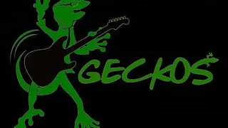 Geckos