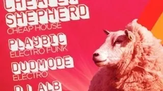 Electro Friend Sheep #1