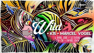 La Wild : Discocalypse