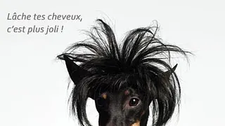 Haircut stratagem