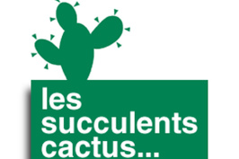 Les Succulents Cactus