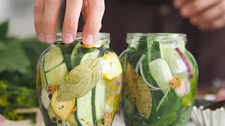 Initiation à la lactofermentation