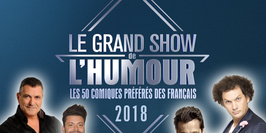 LE GRAND SHOW DE L'HUMOUR