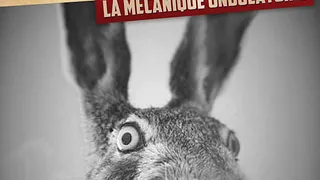 The Hare DJ Cèpe // 21.07 // La Méca