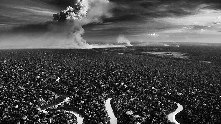 Sebastião SALGADO - "BLESSURE"