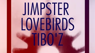 Jimpster, Lovebirds & Tibo'z
