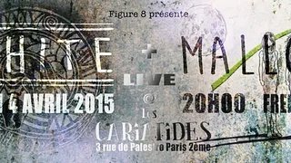 Ophite en concert
