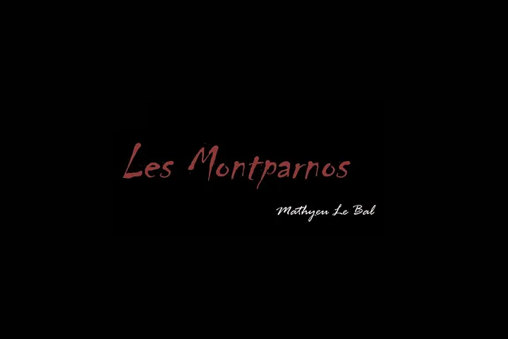 Galerie Les Montparnos