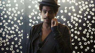SETH TROXLER - IBELLINI