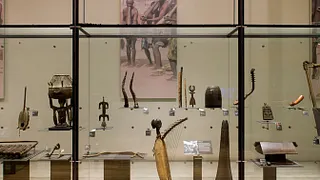 Visite timbrée au Musée de la musique : À poil et à plumes !