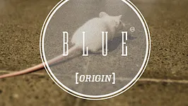 La blue origin