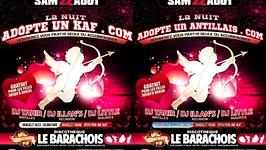 La nuit ADOPTEUNANTILLAIS.COM / ADOPTEUNKAF.COM