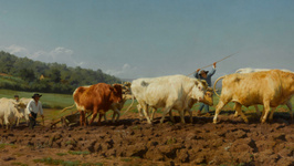 Rosa Bonheur (1822-1899)