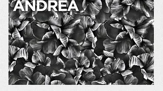 Moose avec Breton Dj set, Tommy Jacob, Julia Losfelt & Andrea