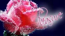 Pleasure
