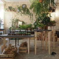 Welcome Bio Bazar