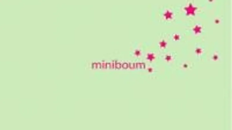 Miniboum