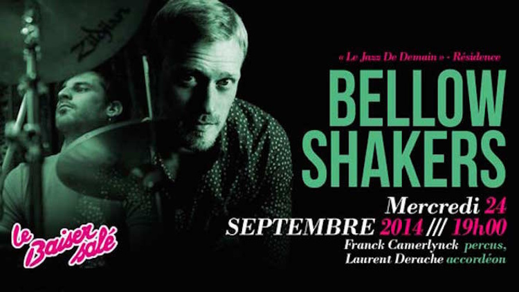 Bellow Shakers