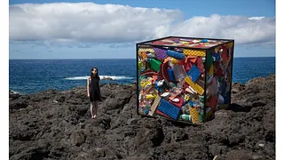 Tumultes : réflexion profonde de 6 artistes sur la place de l'Homme et du Vivant