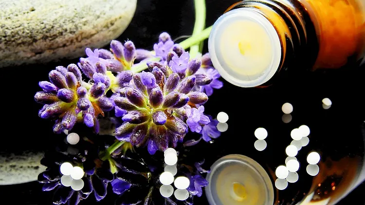 Découverte de la naturopathie