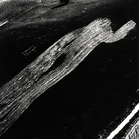 Vernissage | "Conversazione" de Mario Giacomelli & Franco Fontana